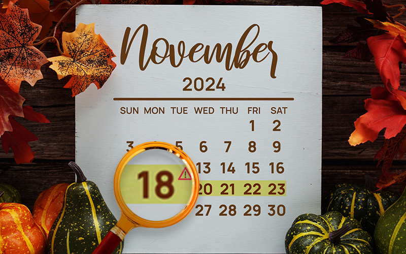 November 2024 Calendar with magnifying glass